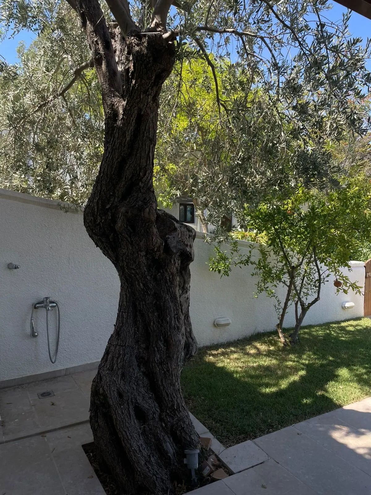 Photos of the Villa